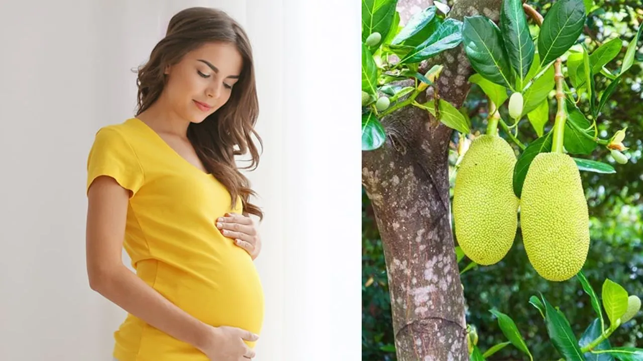 jack fruit (4)