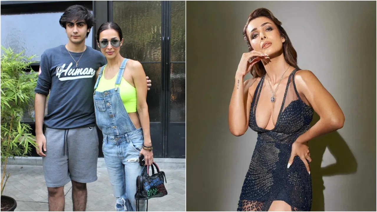 Bollywood Hot Moms (3)