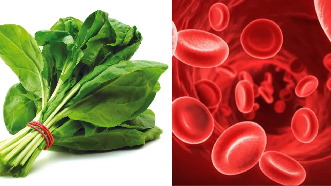 blood increase (1)