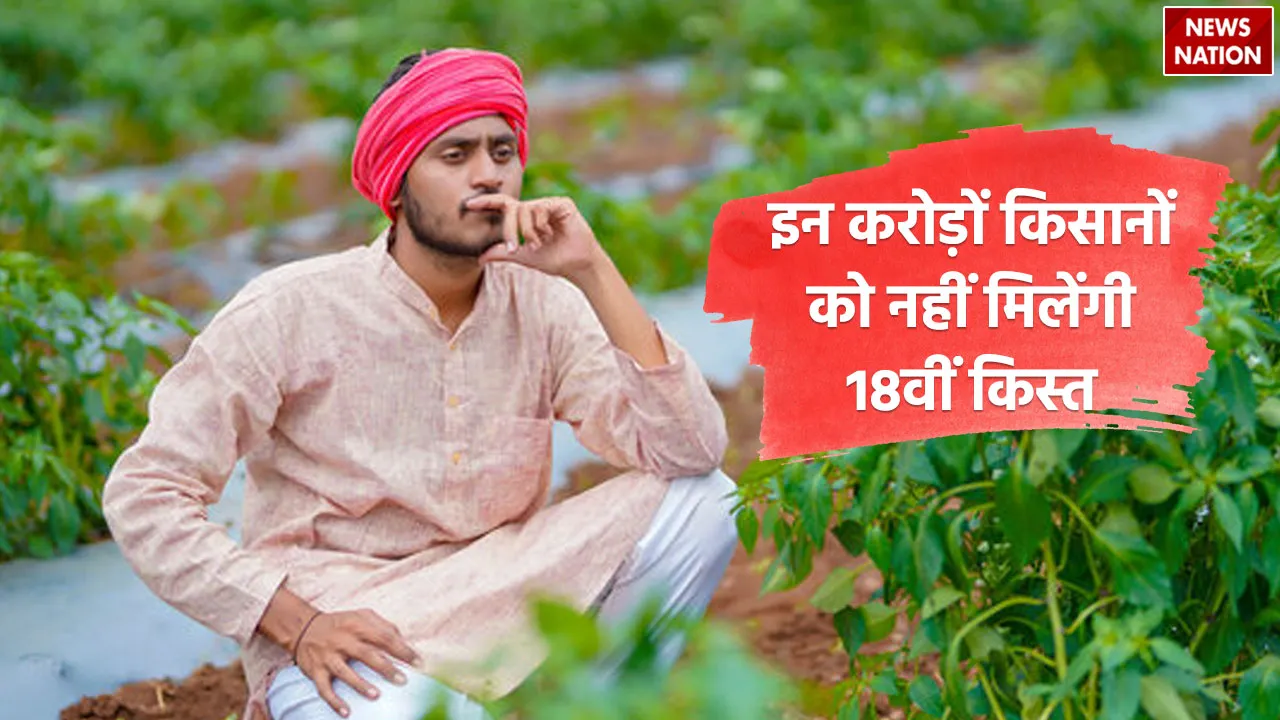 PM-kisan-samman-nidhi-4