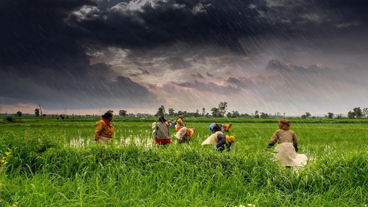 Farmers