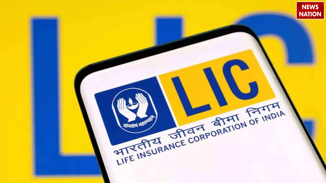LIC 23