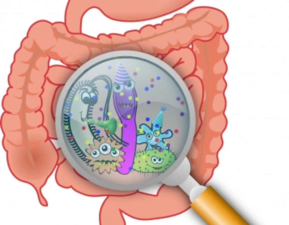 Gut bacteria.