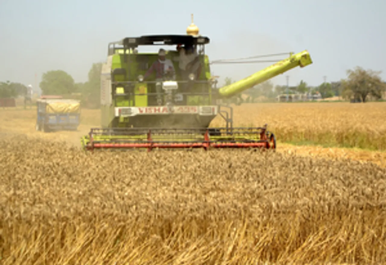 Amritsar: Farmers use a combine harvester to harvest wheat crop