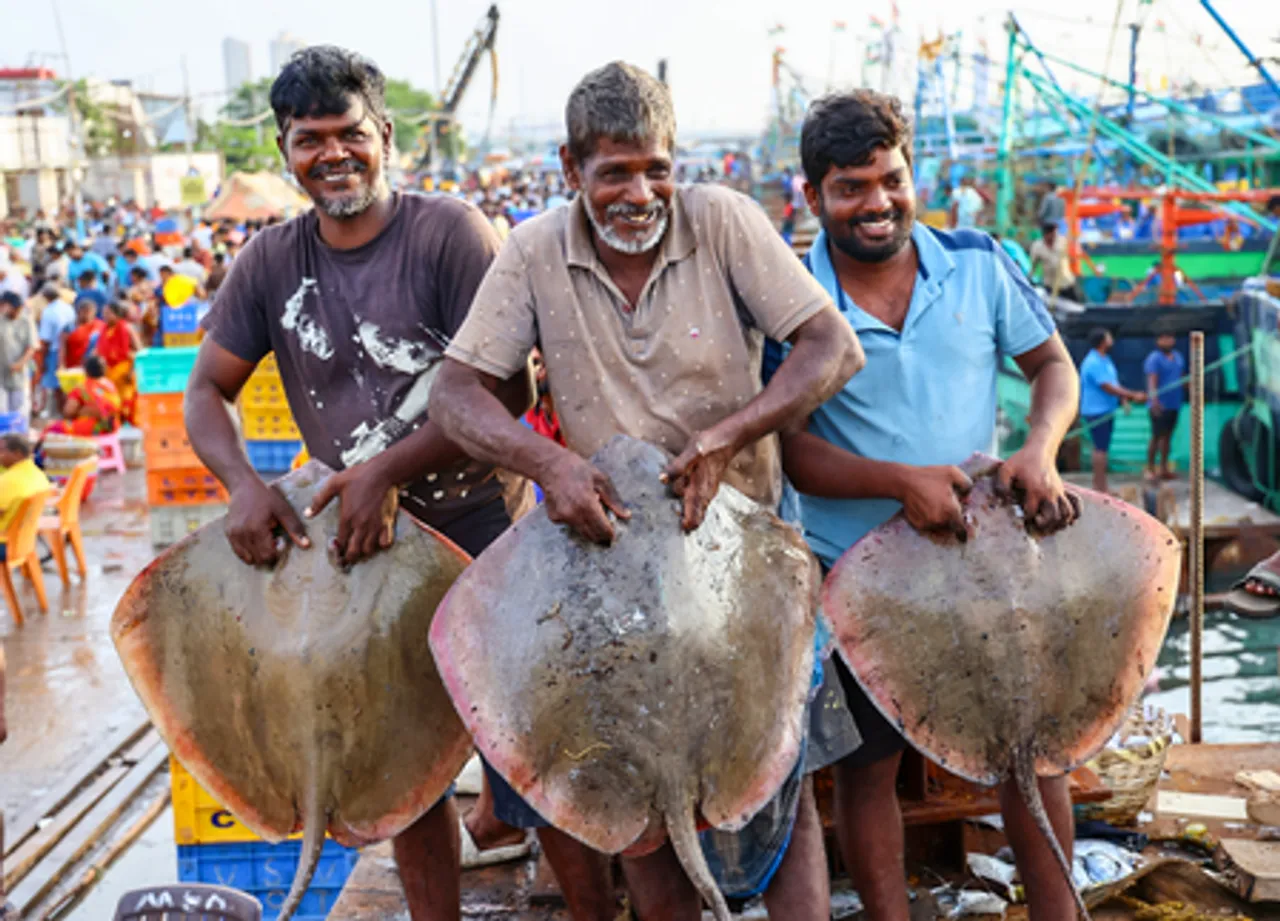 Fresh Catch at Chennai Coast as Fishing Ban Ends