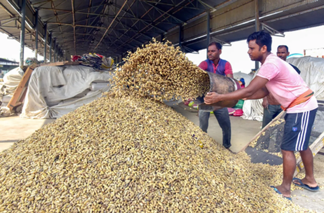 Bikaner: Workers resume operations in the grain market
