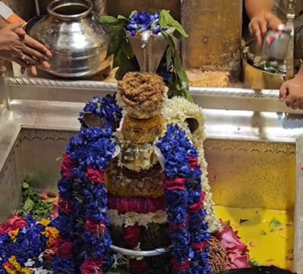 नाग पंचमी : नाग देवता की पूजा से मिलेगी संकटों से मुक्ति, मिटेगा दोष