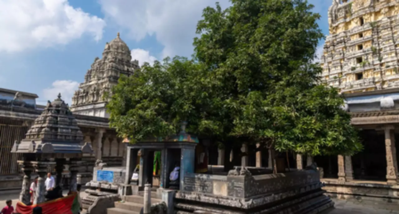 सावन विशेष : 600 ईस्वी के इस मंदिर में पृथ्वी तत्व के रूप में होती है महादेव की पूजा, माता पार्वती ने यहीं दी थी परीक्षा