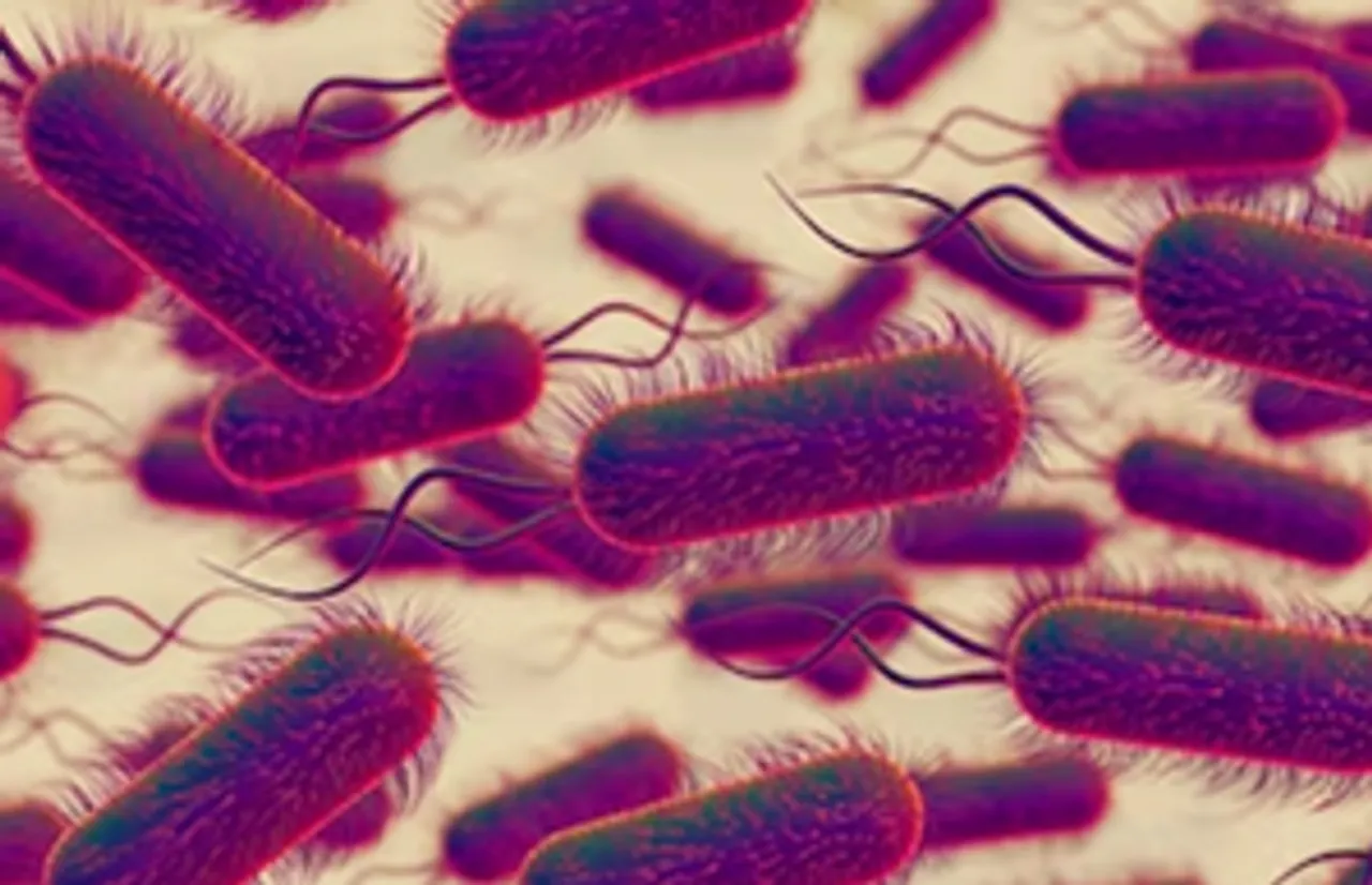1 dead, 6 hospitalized amid outbreak of Legionnaires' disease in inner-Sydney