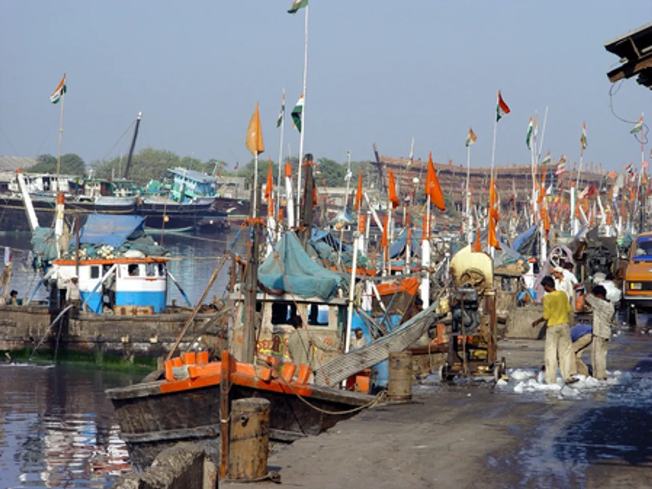 गुजरात समुद्री मछली के उत्पादन में देश में दूसरे स्थान पर, 2024-25 में 10.37 लाख मीट्रिक टन मत्स्य उत्पादन का अनुमान
