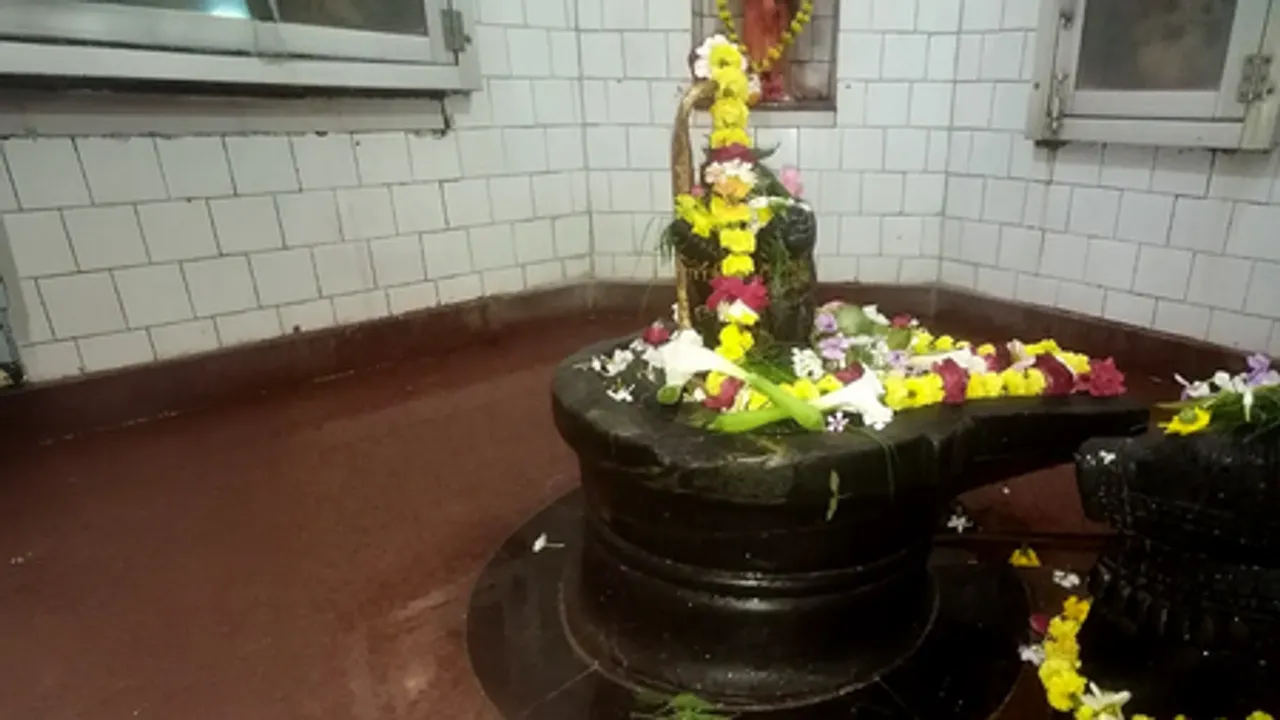 सावन विशेष: 400 वर्ष प्राचीन शिवालय में महादेव की सेवा में रत रहते हैं दर्जनों नाग, पंचमुखी शिवलिंग के स्पर्श से दूर होते हैं कई रोग