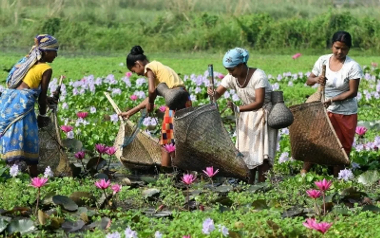 Cabinet greenlights Rs 4,250 crore to boost infra, empower vulnerable groups in Assam and Tripura