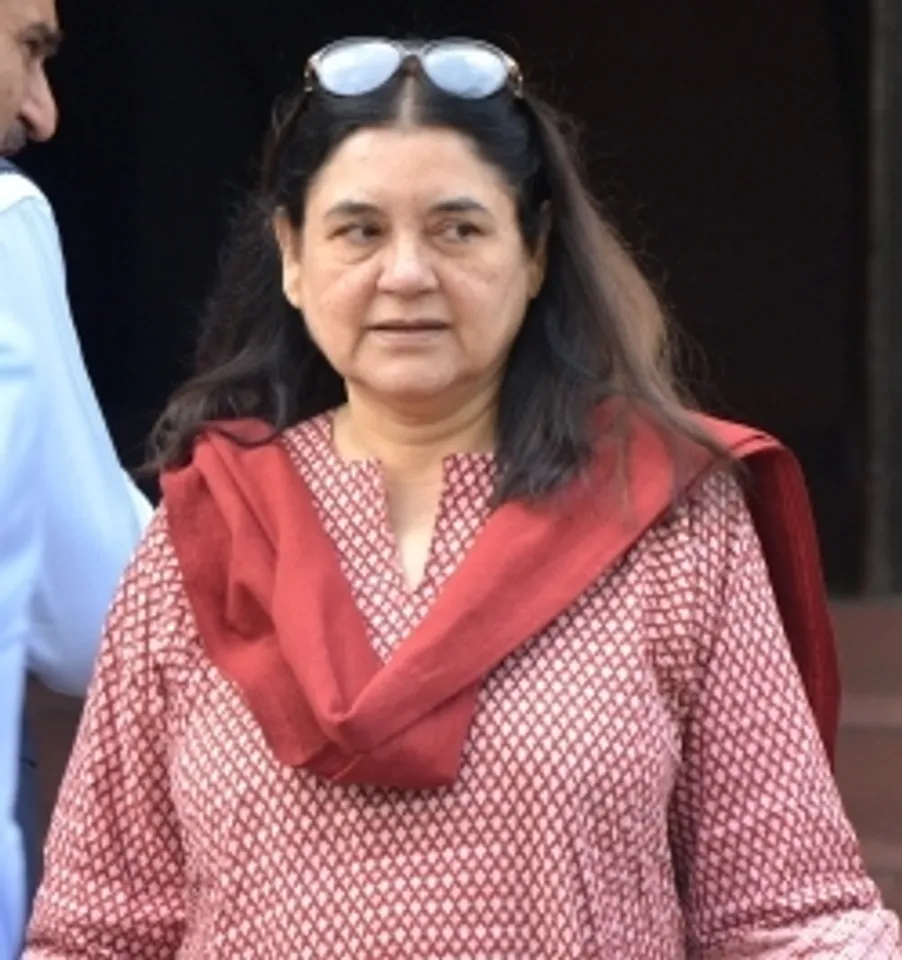 सुप्रीम कोर्ट के आवारा कुत्तों को हटाने के आदेश पर बवाल, मेनका और प्रियंका ने बताया 'अमानवीय'