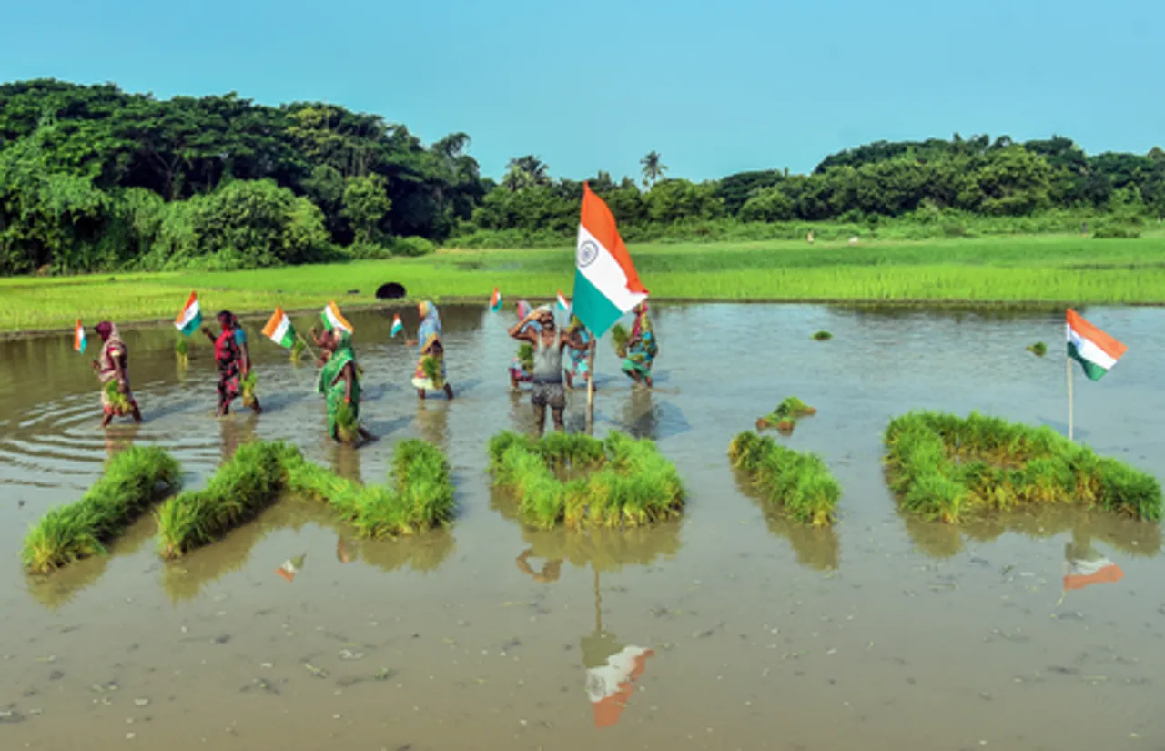 Cuttack: Farmers Celebrate Independence Day While Working in Fields