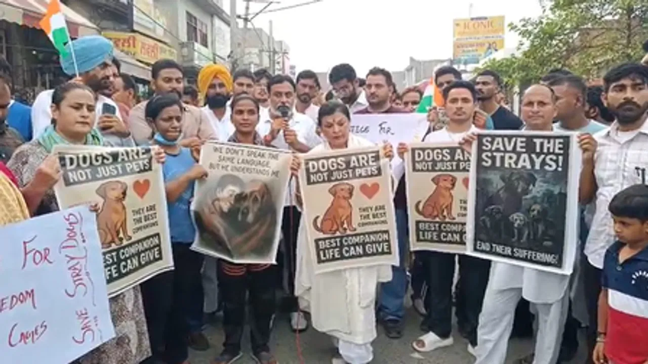 श्री मुक्तसर साहिब में आवारा कुत्तों के हक में निकाली गई शांतिपूर्ण रैली, सुप्रीम कोर्ट के आदेश का विरोध