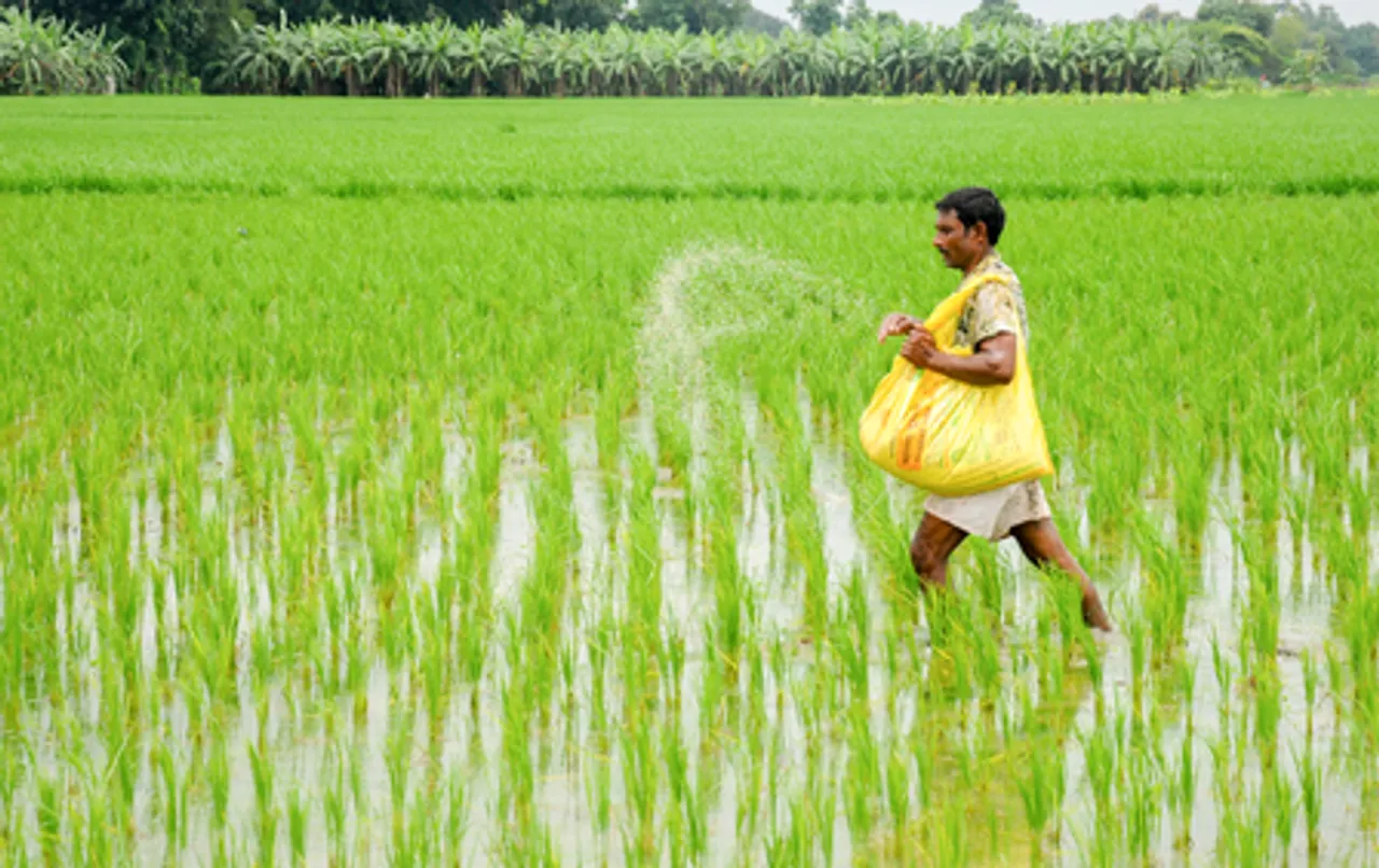 Urea production witnesses 35 pc growth over past decade, DAP sees 44 pc rise: Ministry