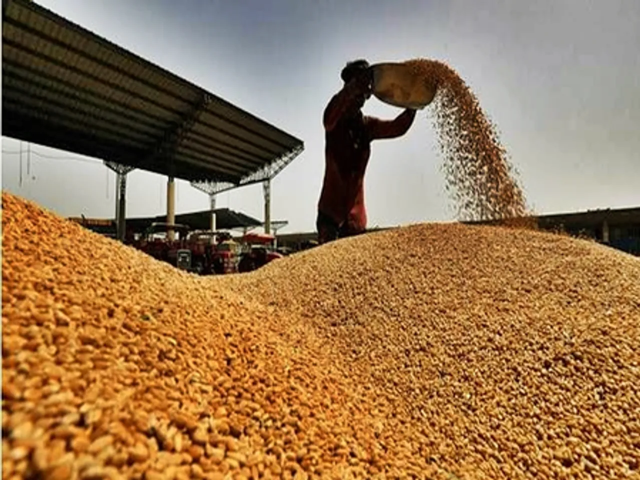 Centre cuts wheat stock limit for traders to keep prices in check