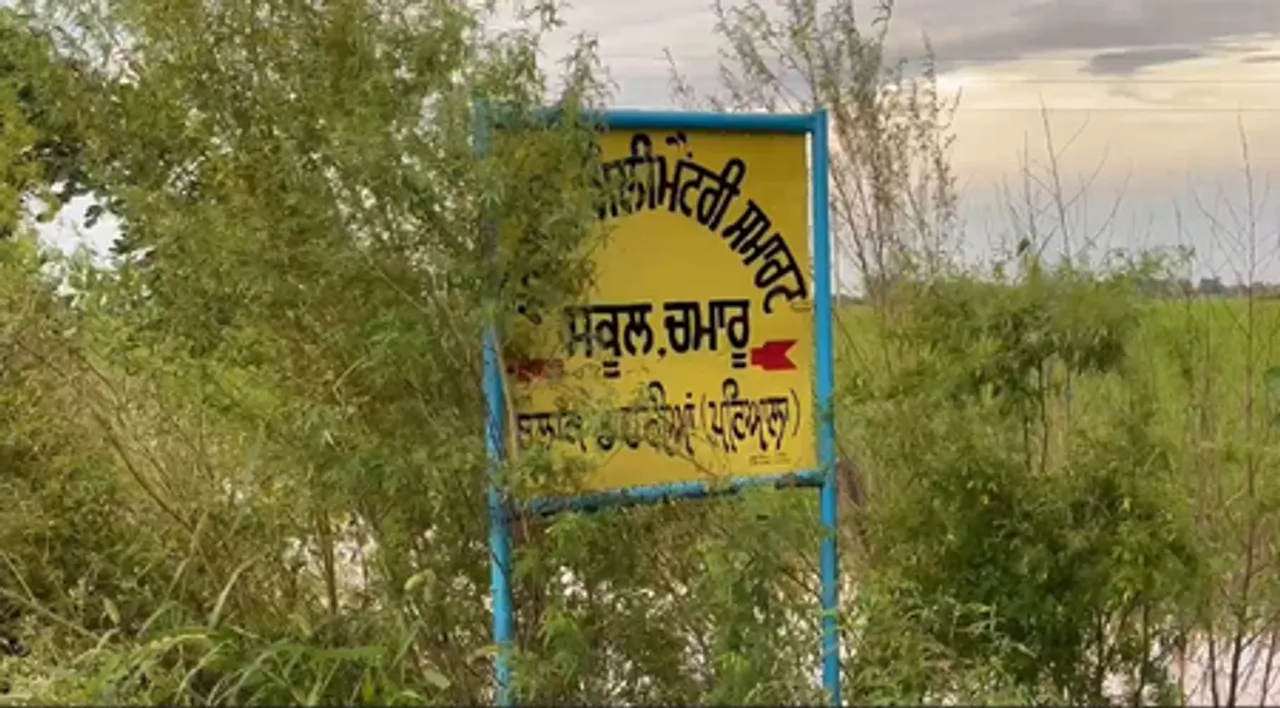 पटियाला जिले में घग्गर नदी बनी खतरा, दर्जनों गांव बाढ़ की चपेट में