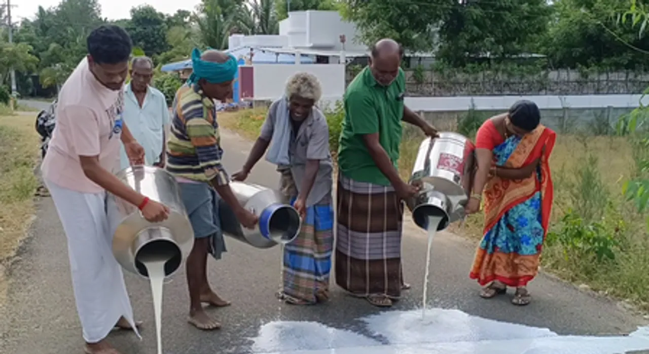 तमिलनाडु: नागपट्टिनम में आविन द्वारा दूध न लेने पर सड़क पर बहाया दूध