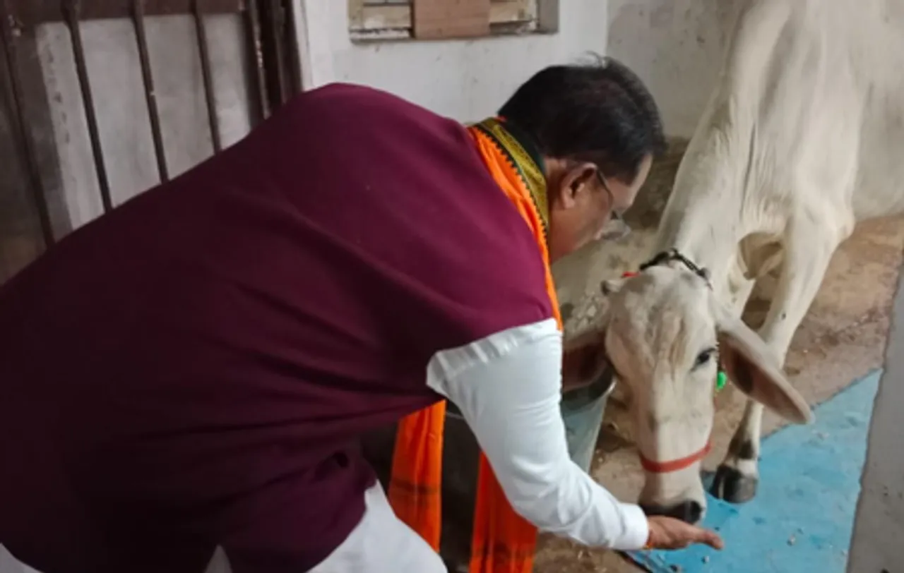 चंद्र ग्रहण से पूर्व मुख्यमंत्री विष्णु देव साय ने गाय को खिलाई रोटी-गुड़, बोले- गौसेवा से मिलती है सच्ची शांति और ऊर्जा