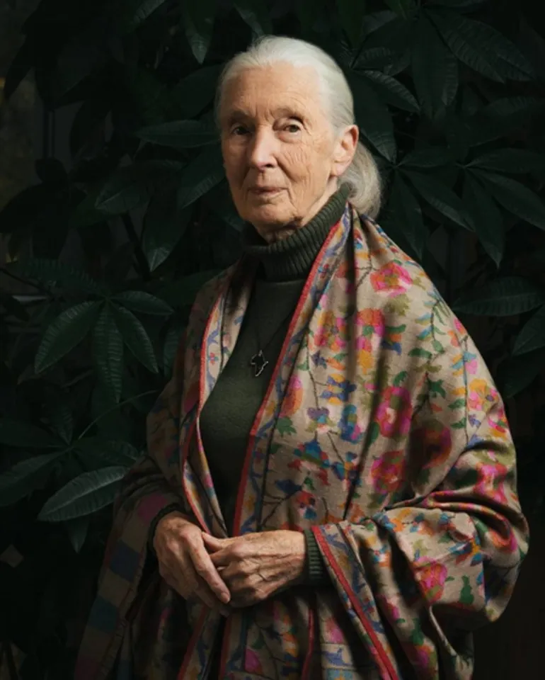 jane goodall