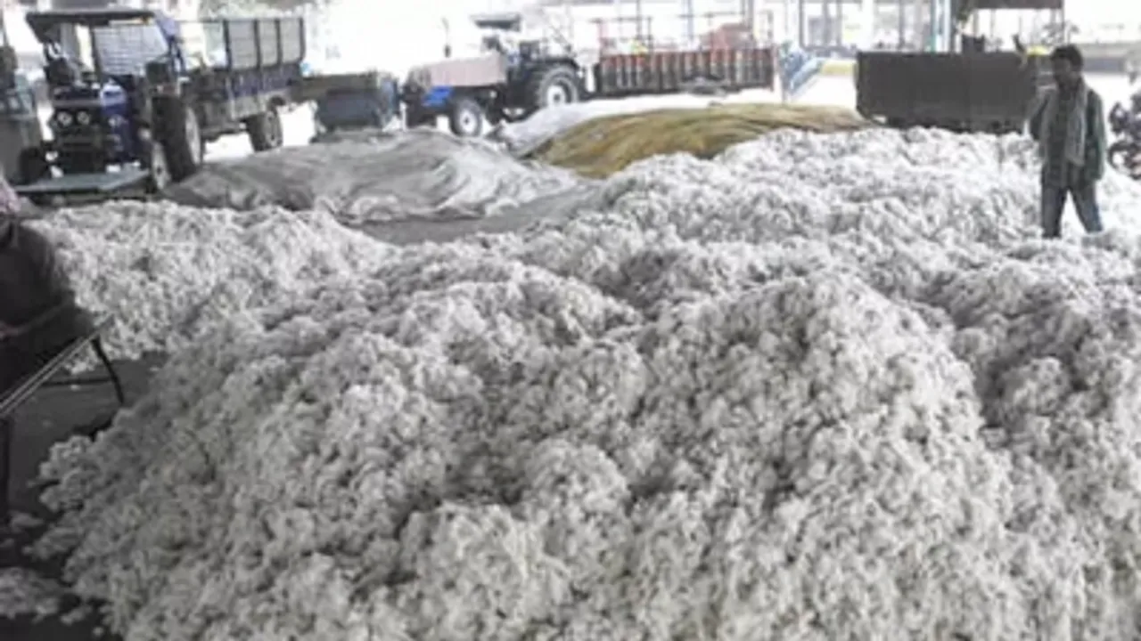 Govt operationalises record 550 cotton procurement centres across 11 states