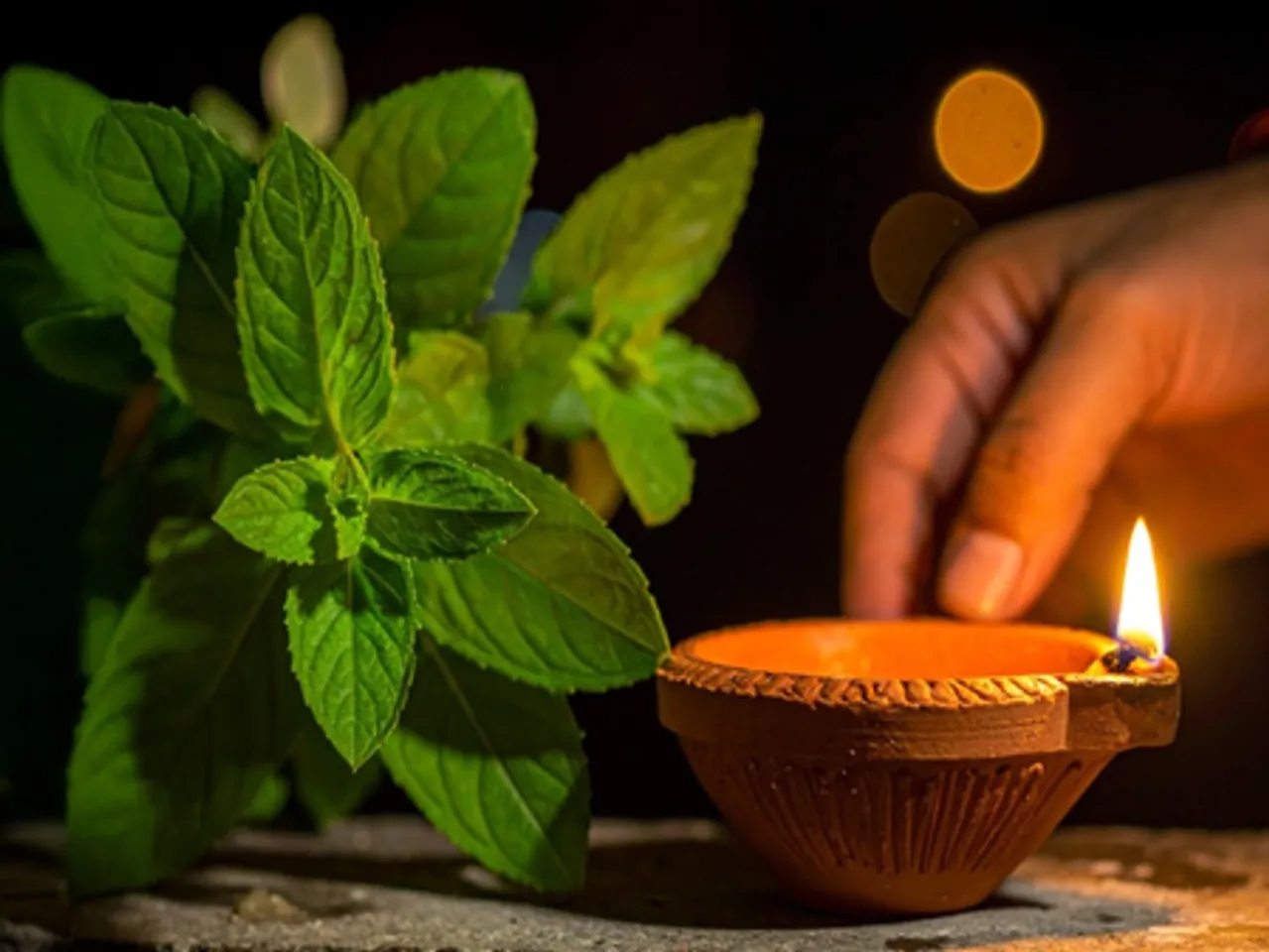 धर्म और सेहत का है कार्तिक मास से कनेक्शन, आयुर्वेद में लिखी है महीने की महिमा