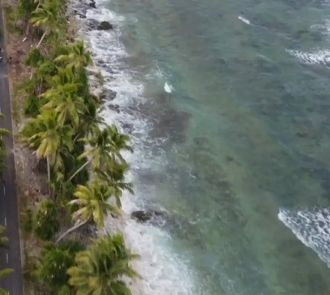 amnesty on pacific islands