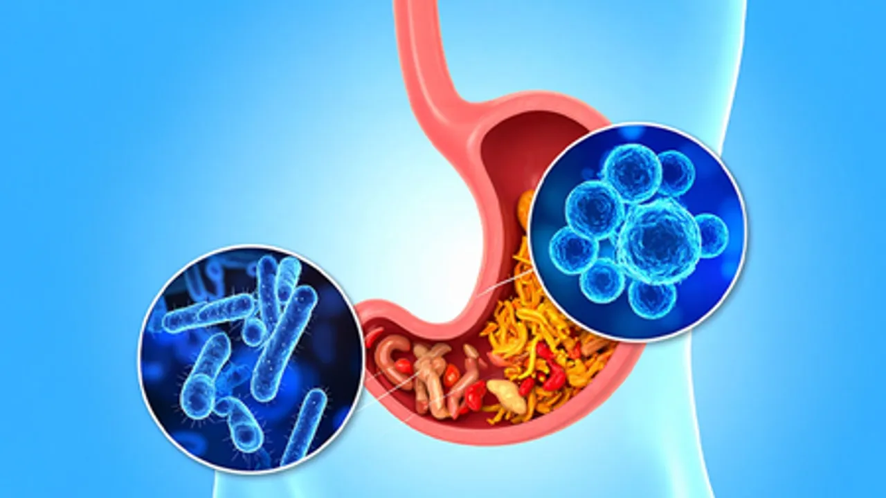A healthier gut may help improve depression and anxiety, says study