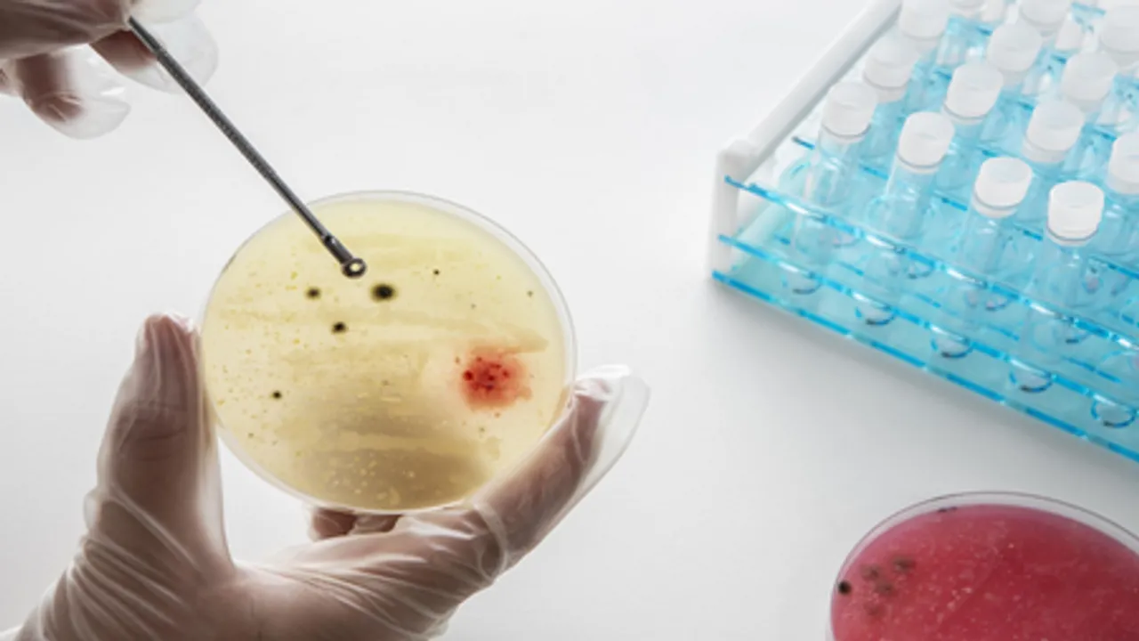 Targeted steroid use shows promise against TB