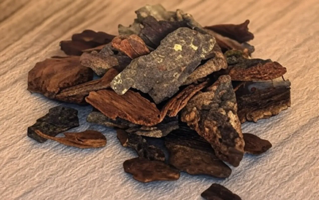 दिल के लिए अर्जुन की छाल क्यों है फायदेमंद? जानिए आयुर्वेदिक तरीका