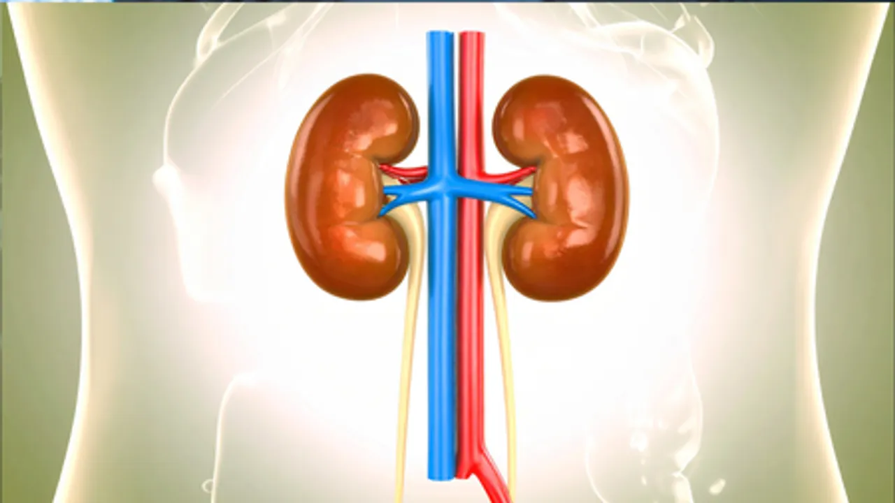 किडनी कमजोर होने से पहले देती है ये संकेत! समय रहते करें उपाय