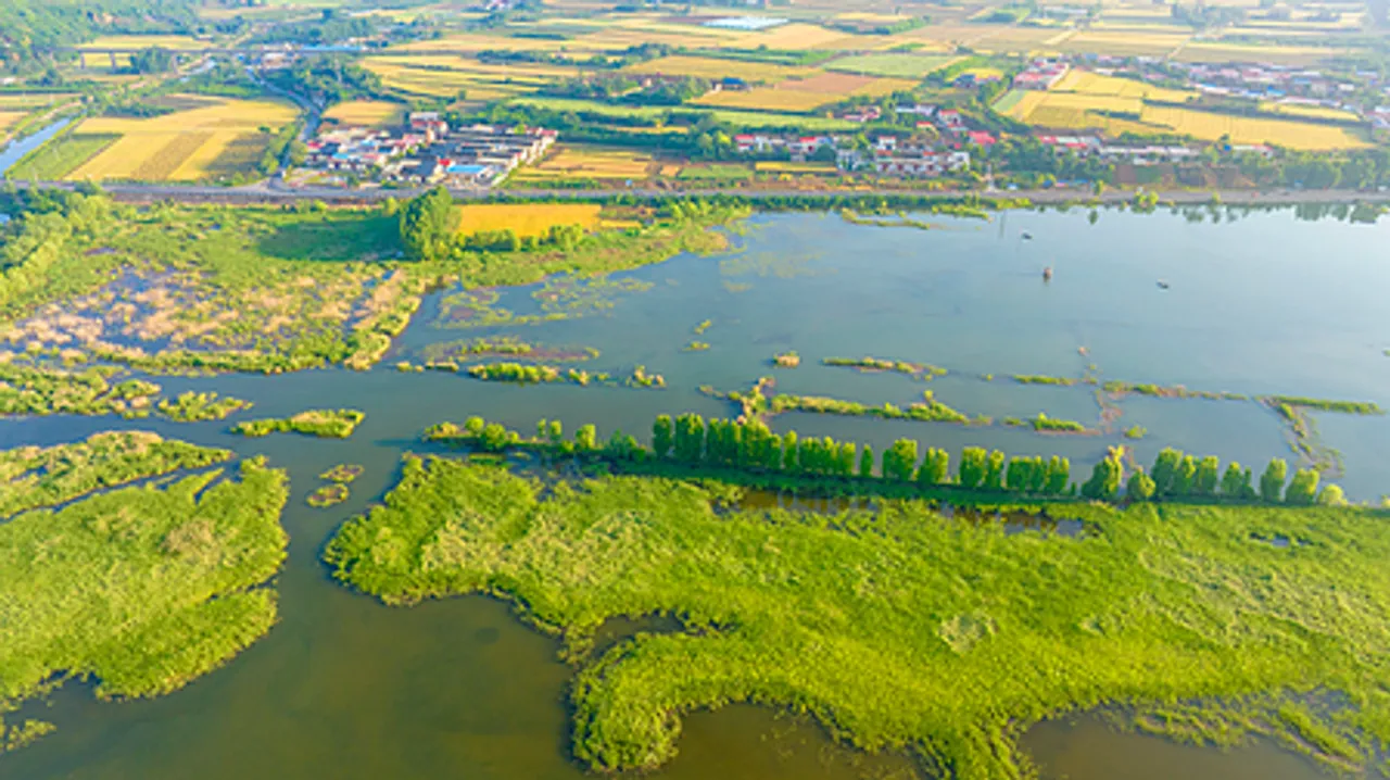 चीनी वानिकी और चरागाह उद्योग बने चार स्तंभ उद्योग, कुल उत्पादन मूल्य दस खरब युआन से अधिक