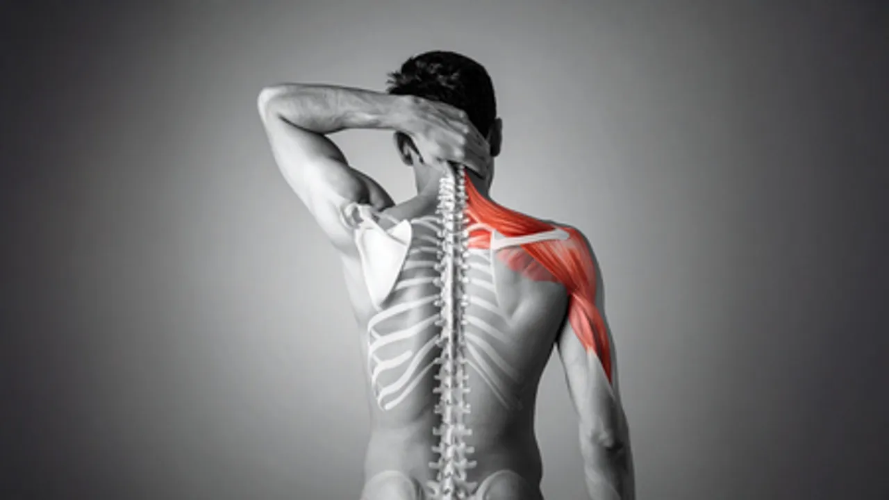 कंधा: शरीर का साइलेंट वॉरियर, जो आपके रोजमर्रा के काम को बनाते हैं आसान