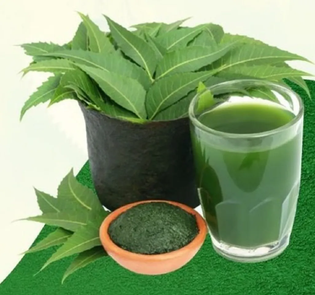 Neem Benefit