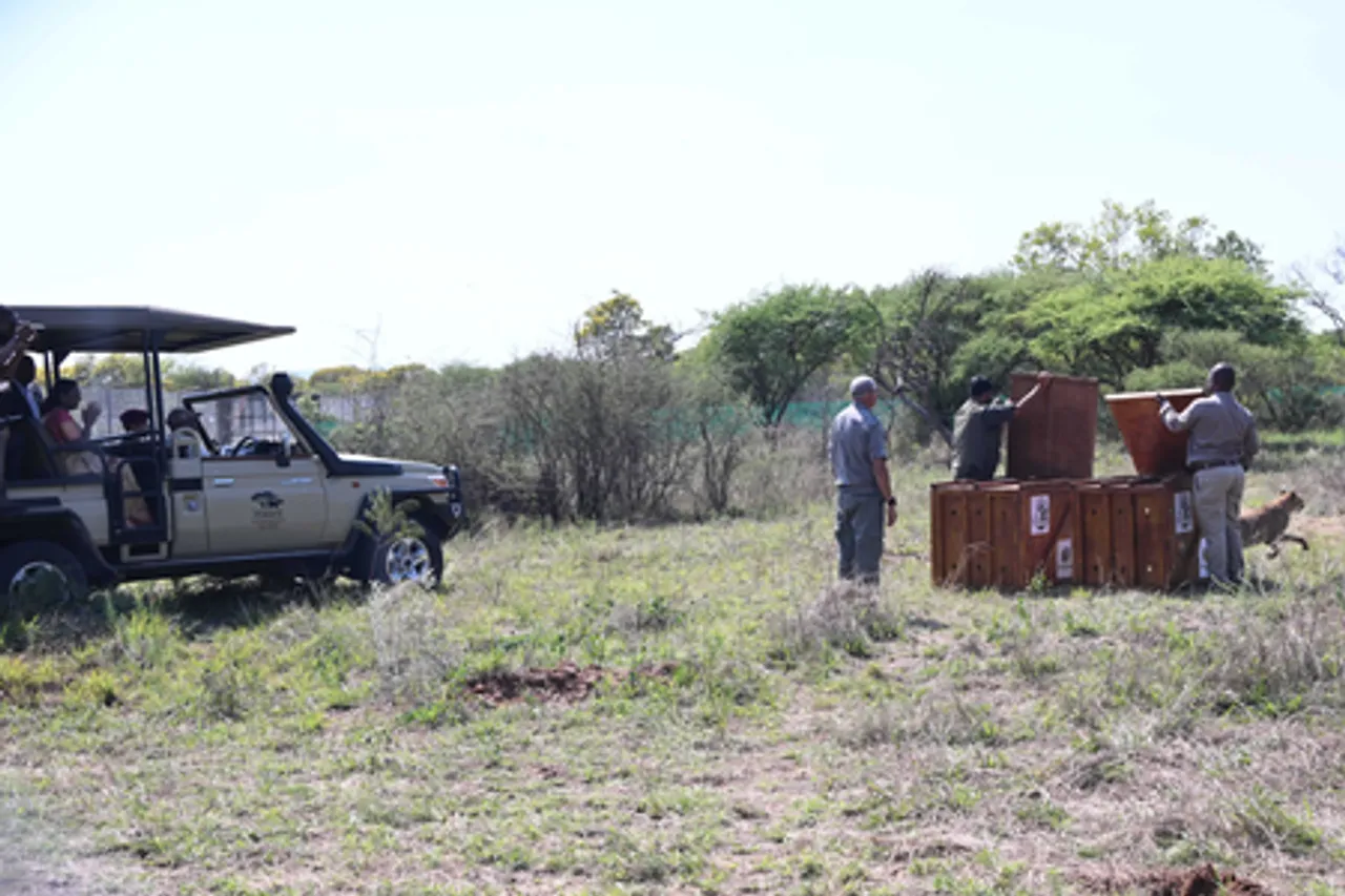 President Murmu, Botswana President witness release of Cheetahs at nature reserve