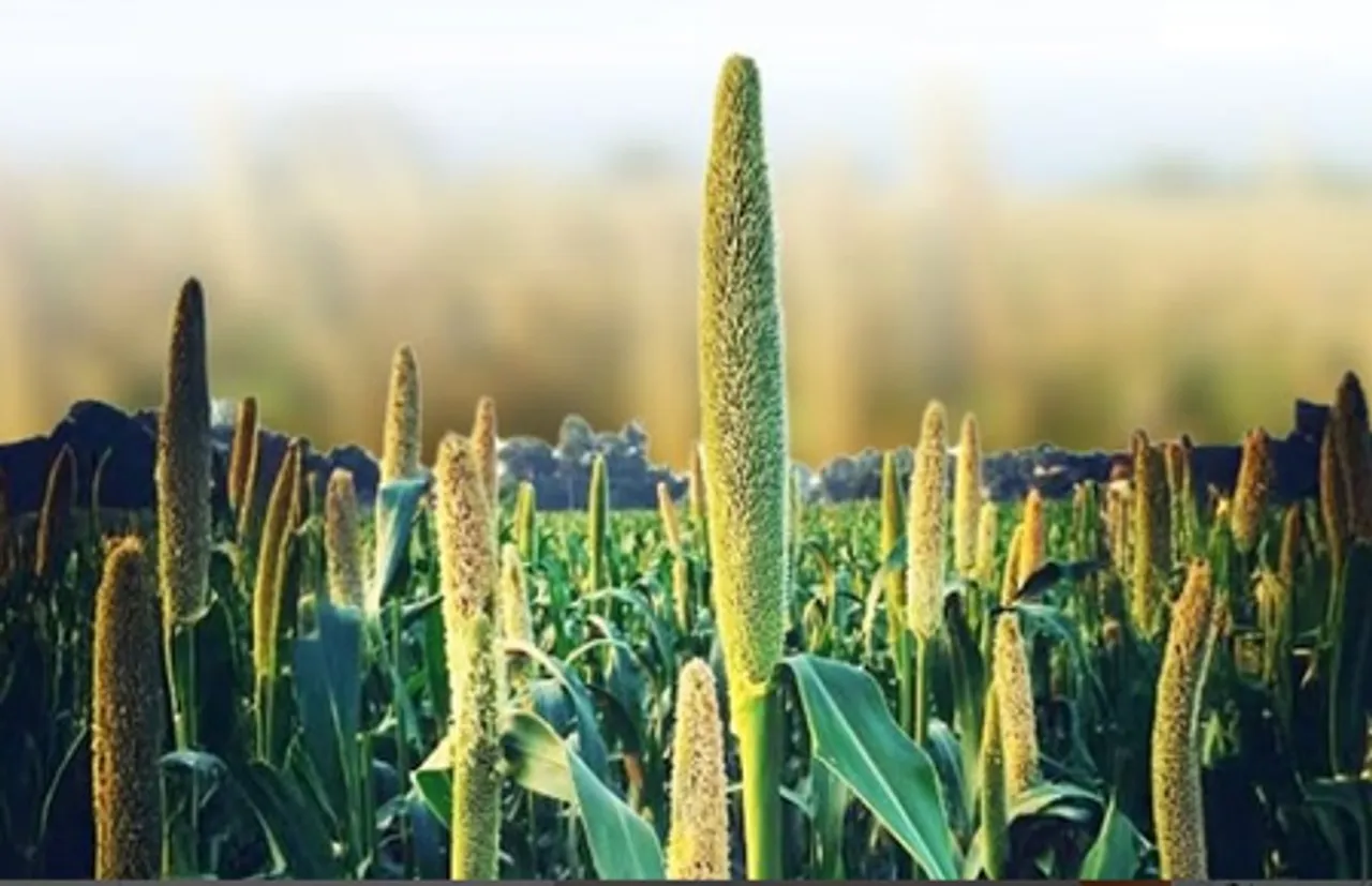 Food For diabetes patients