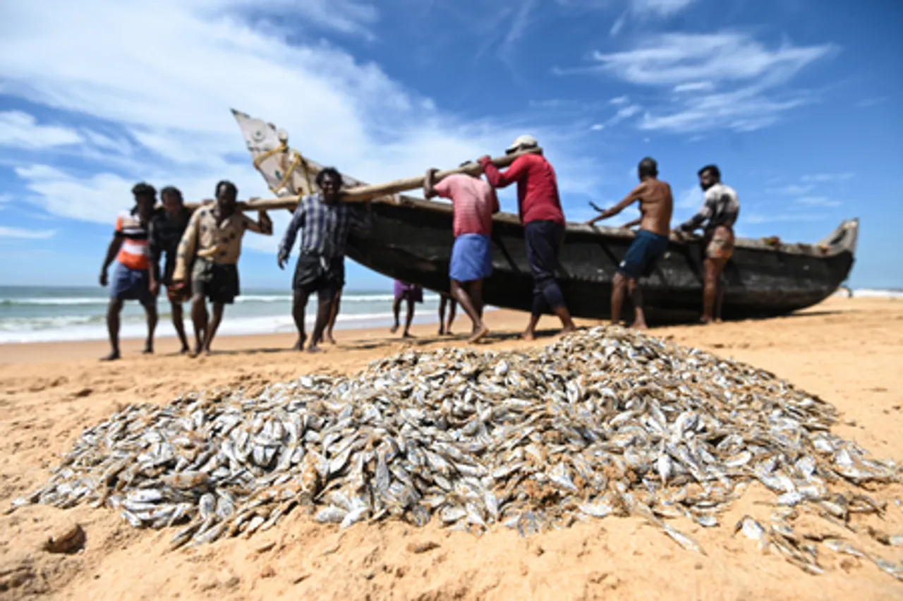 Thiruvananthapuram: Fishermen Leave Low-Demand Catch on Shore