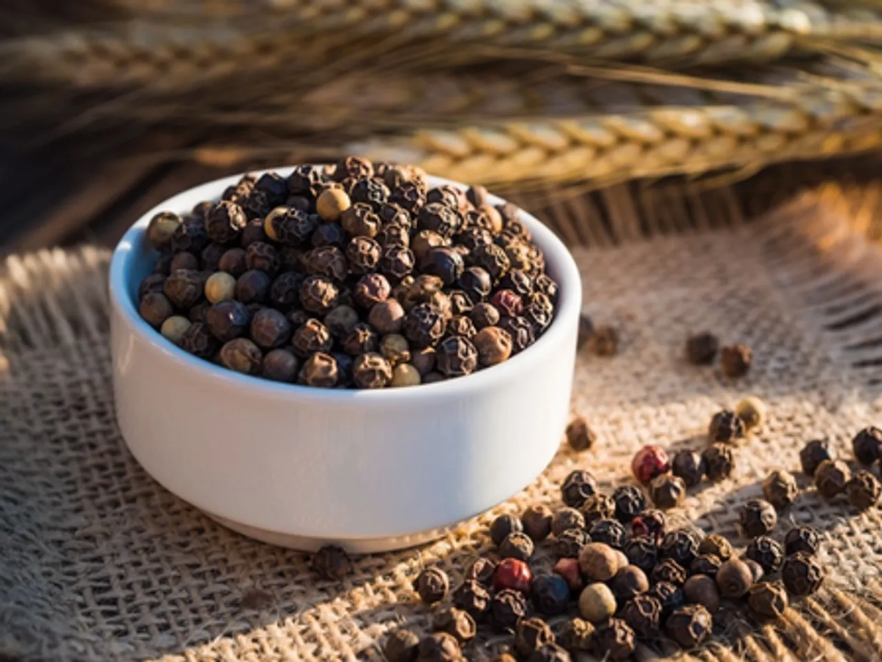 बड़े काम की है छोटी सी काली मिर्च, शीत ऋतु में इसका सेवन करेगा बीमारियों से बचाव