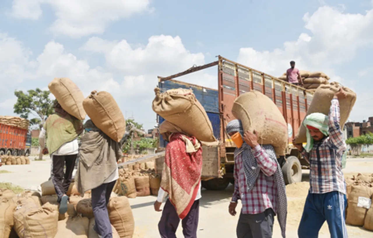 Explained: New Labour Codes mark transformative step for welfare of workers