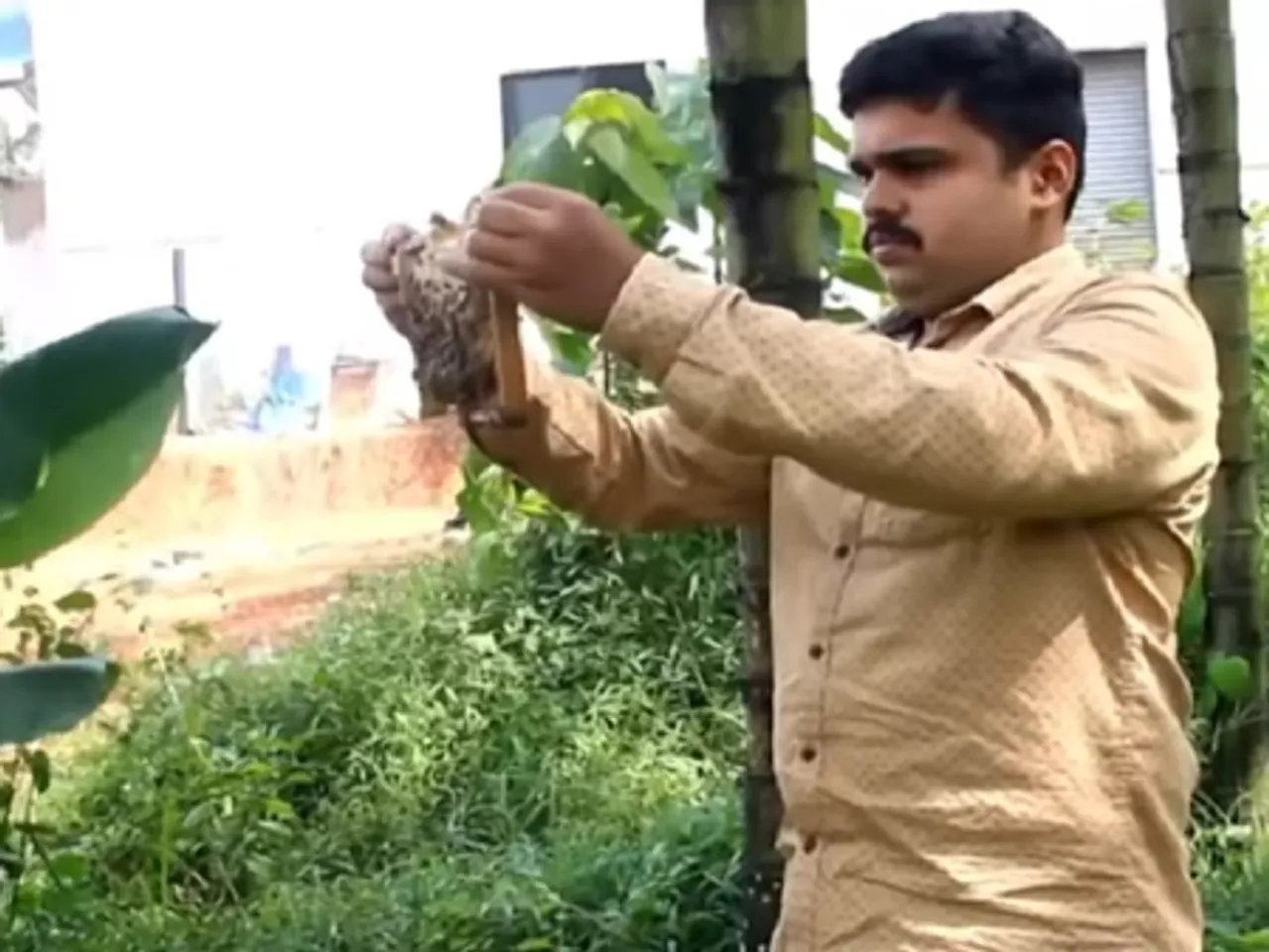 'मन की बात' कार्यक्रम में पीएम मोदी ने की 'शहद' की बात, बताया 11 साल में डेढ़ लाख मैट्रिक टन पहुंचा शहद का उत्पादन