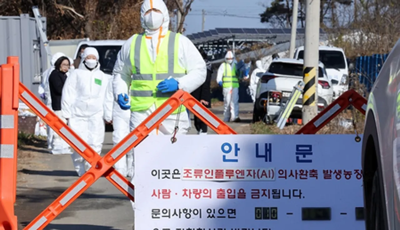 S. Korea confirms 8th highly contagious bird flu case of season