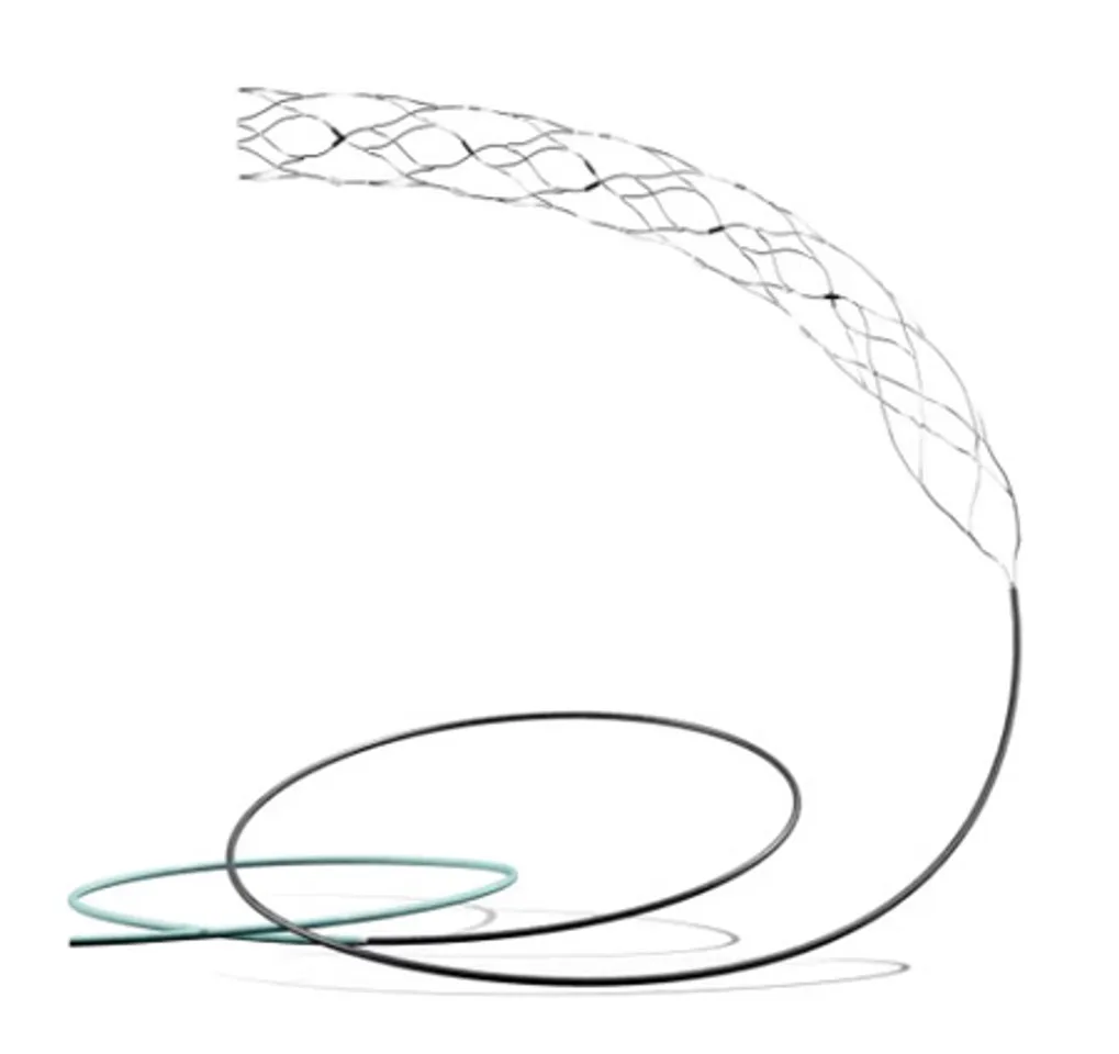 AIIMS-led trial on most advanced brain stent shows promise for stroke patients