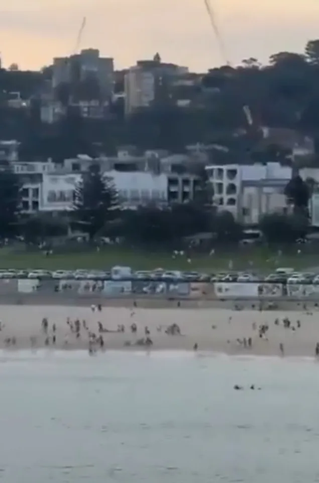 Israeli President condemns attack on Jewish community event in Sydney