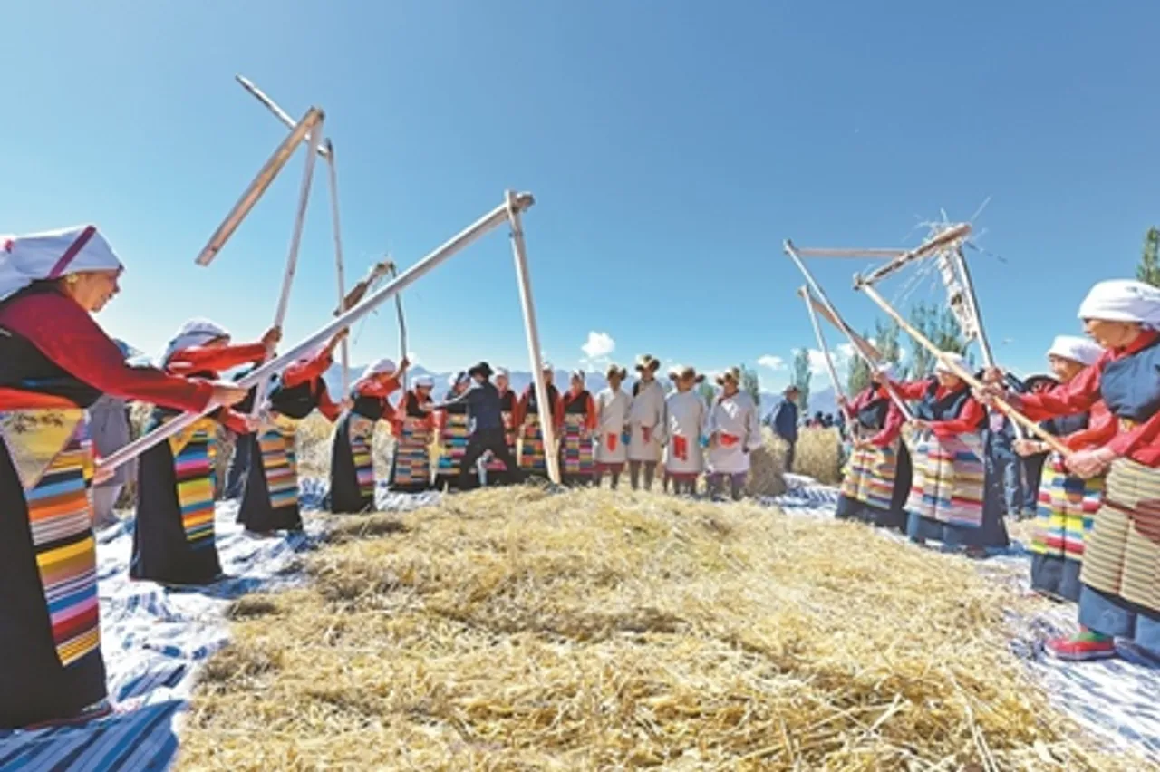 इस वर्ष शीत्सांग में अनाज का रिकॉर्ड उत्पादन
