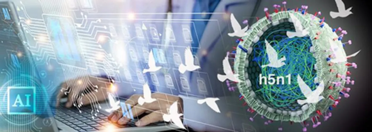 Indian researchers tap AI model to show how H5N1 can jump to humans