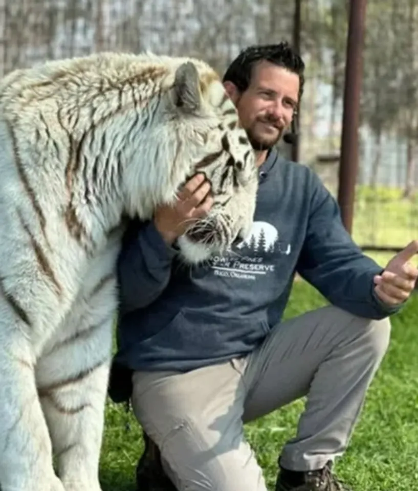 सिंहावलोकन 2025: जंगल से शहर तक वन्यजीवों का हमला, 5 घटनाएं जिससे दहली दुनिया