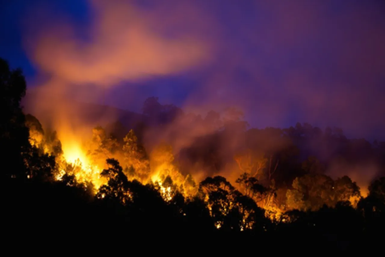 Bushfire claims one life in Australia's Victoria, state of disaster declared