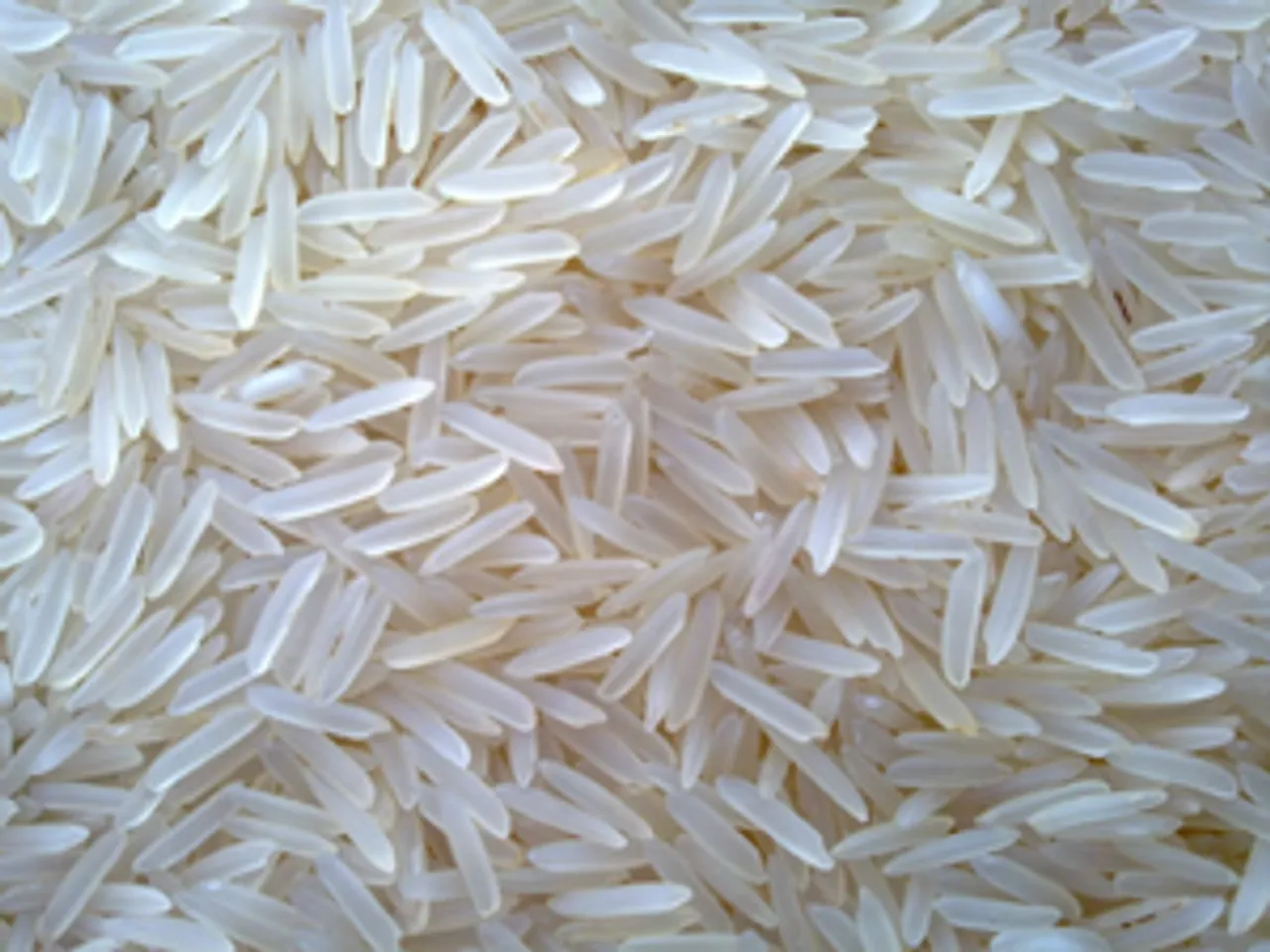 India’s rice exports jump 19.4 pc after curbs lifted