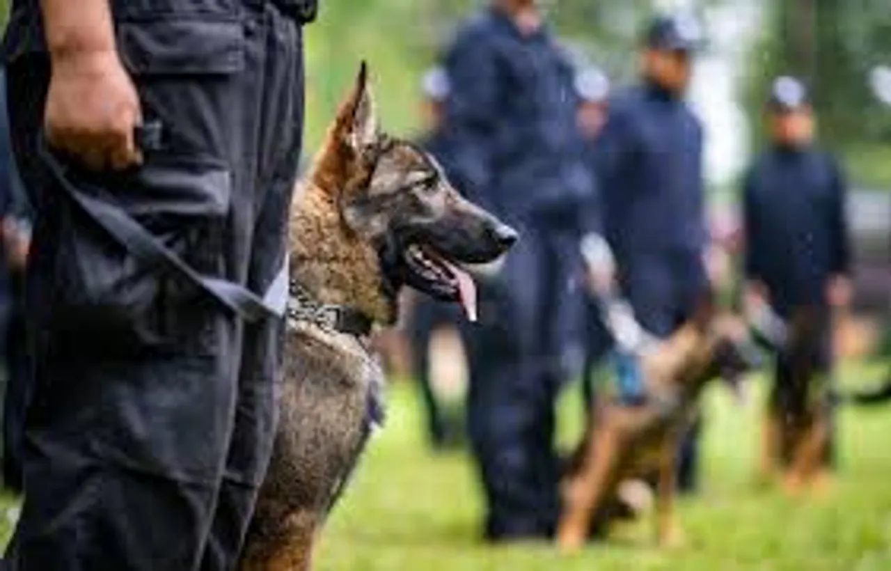 Attacks on police dogs, horses could trigger deportation under US House bill